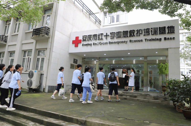 红十字医院:生命线上的坚守与创新